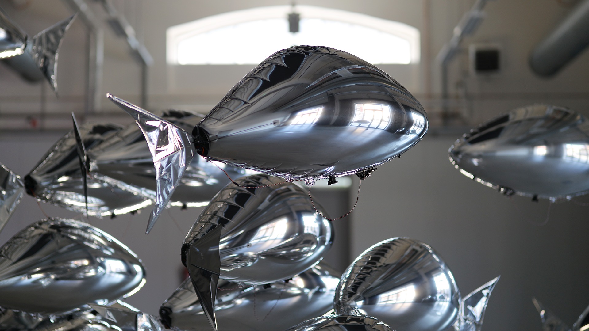 flock of by bit.studio