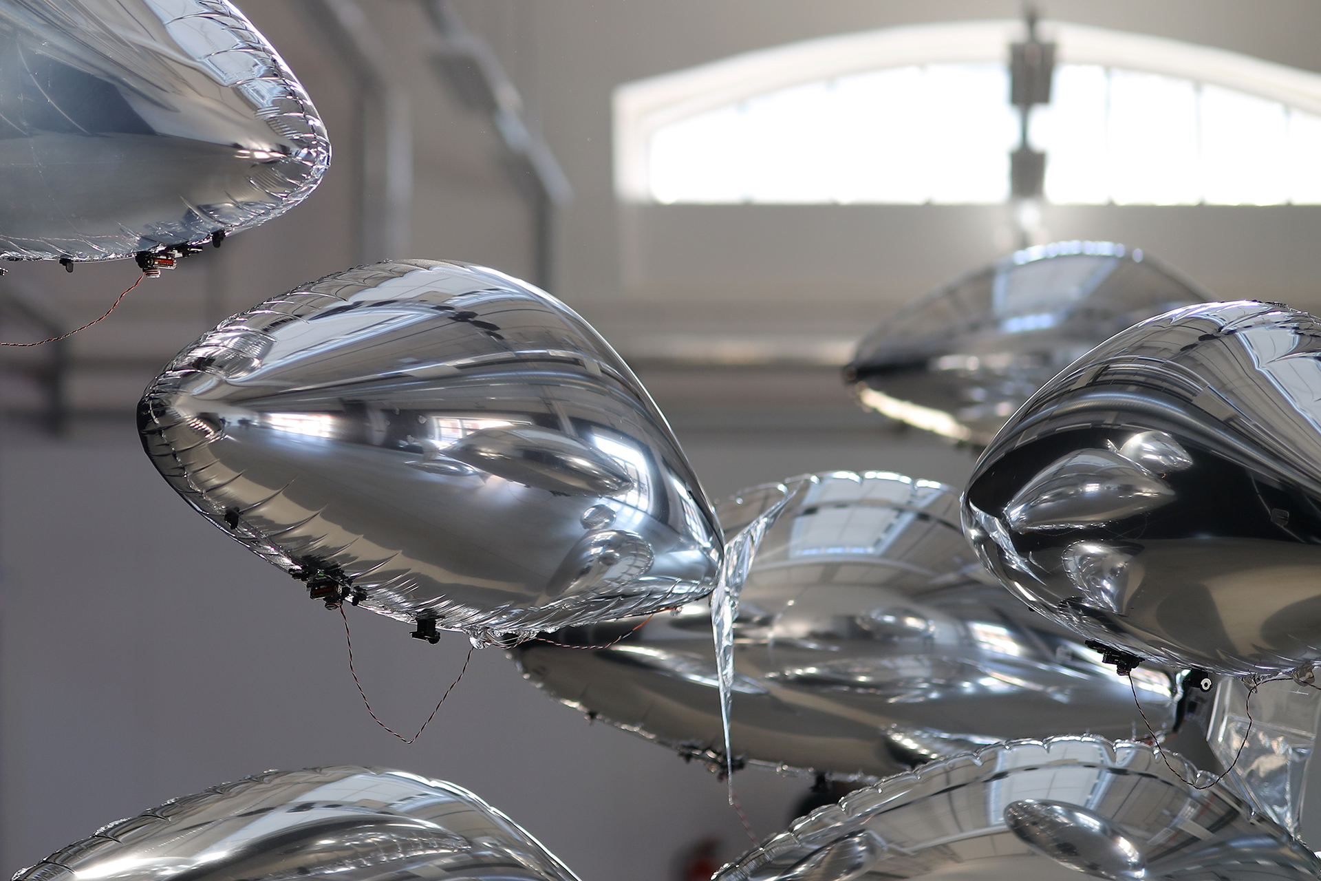 flock of by bit.studio