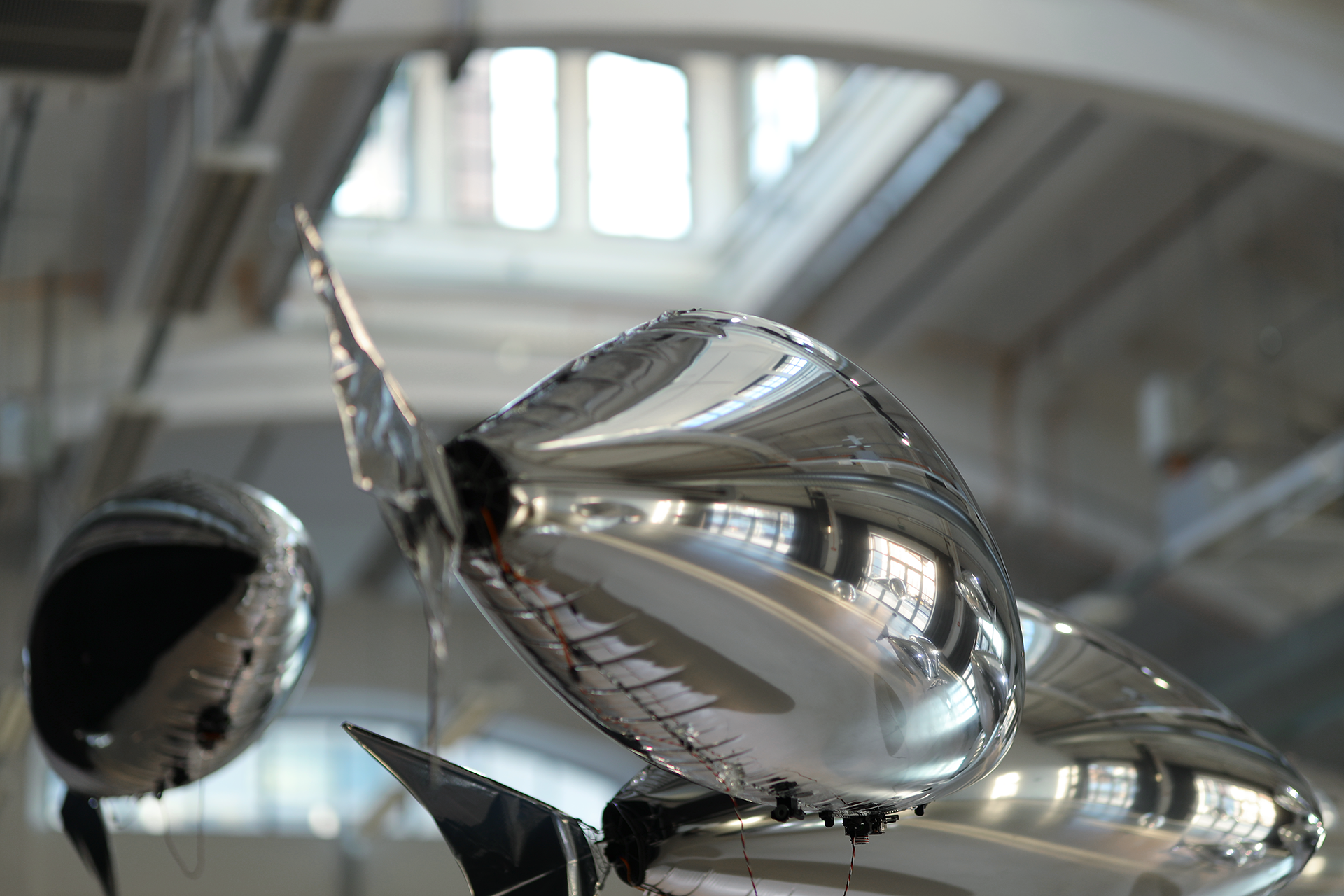 flock of by bit.studio