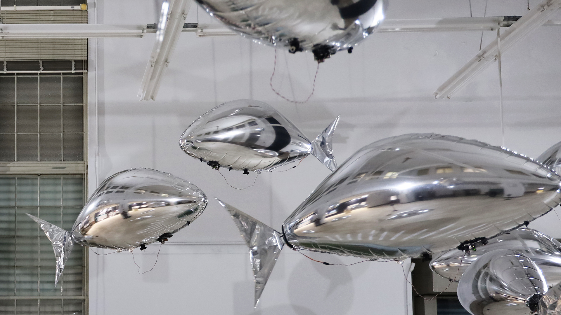 flock of by bit.studio