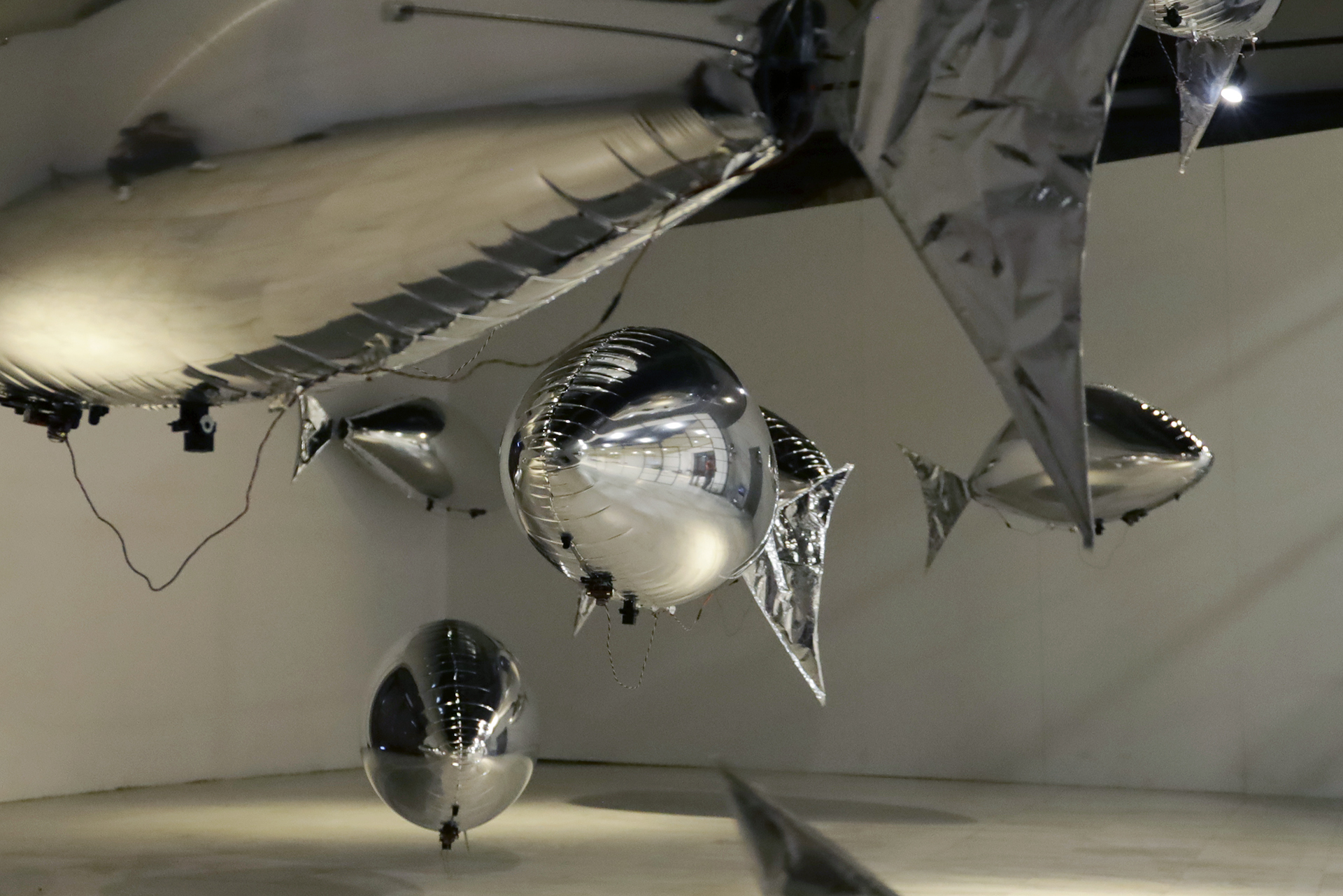 flock of by bit.studio