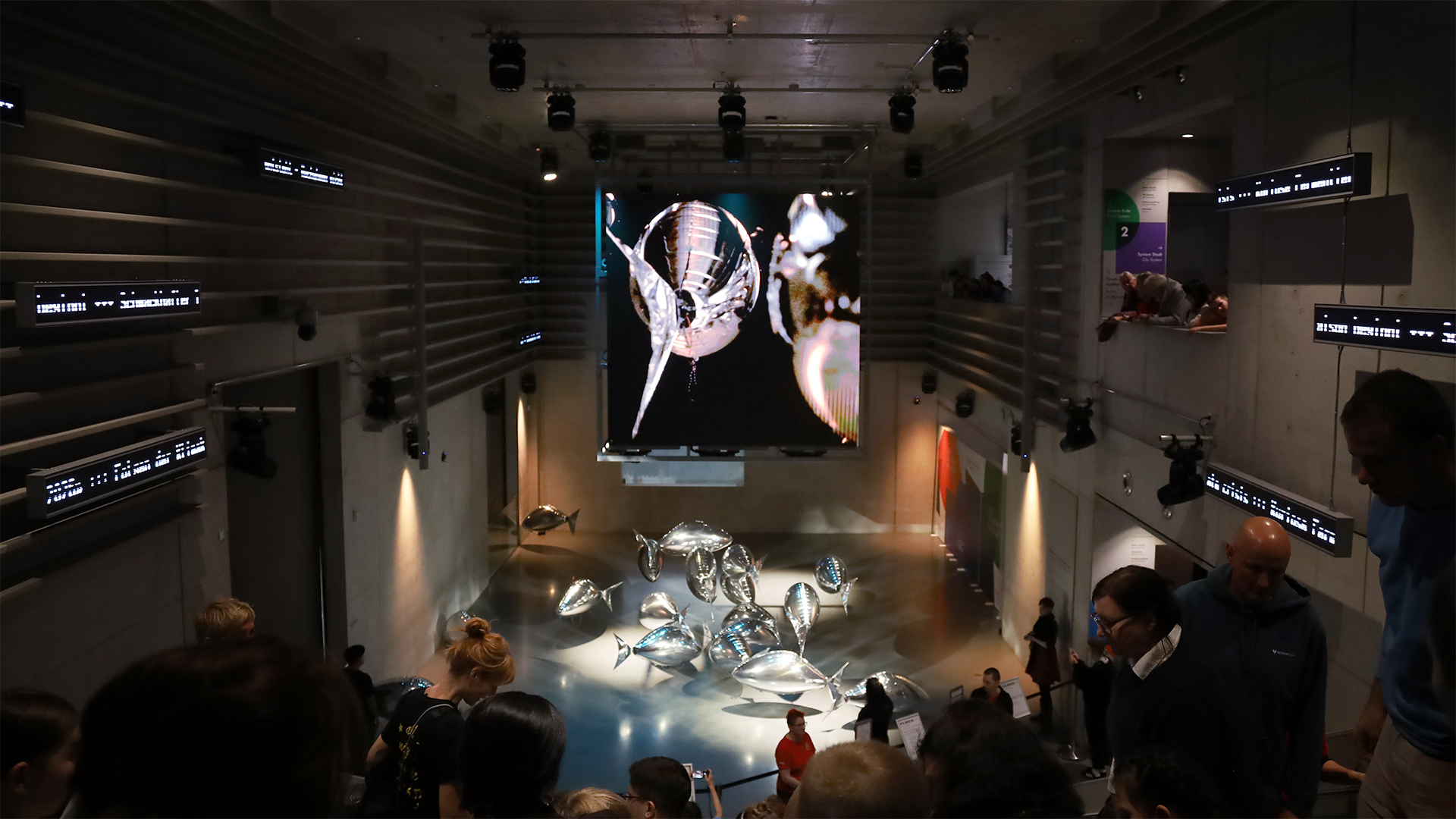 FLOCK OF at 21st Media Art Biennale WRO 2025, Wrocław